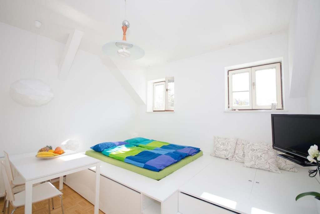 The Cute, Sunny Apartment In The Center +P Liubliana Exterior foto
