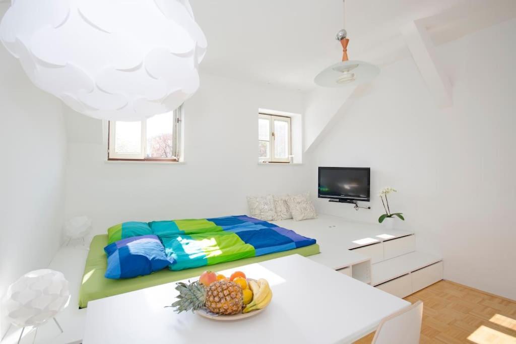 The Cute, Sunny Apartment In The Center +P Liubliana Exterior foto